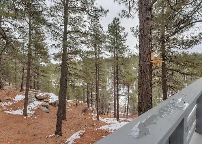The Squirrel's Nest Flagstaff Mountainaire